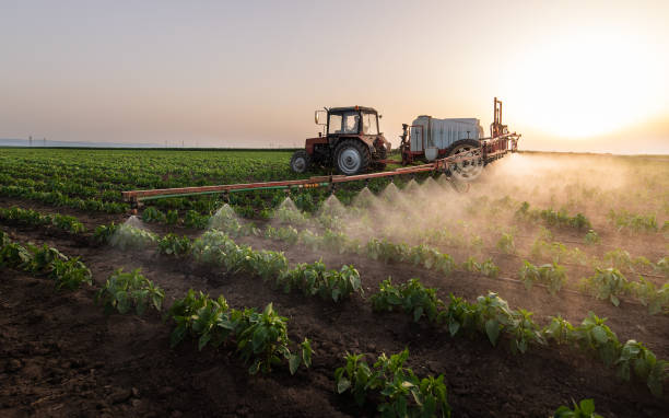 Best Commercial Pest Control Services  in Orwigsburg, PA