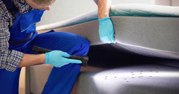 Best Mosquito Control Services  in Orwigsburg, PA