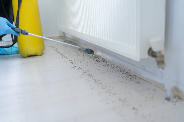 Best Mosquito Control Services  in Orwigsburg, PA